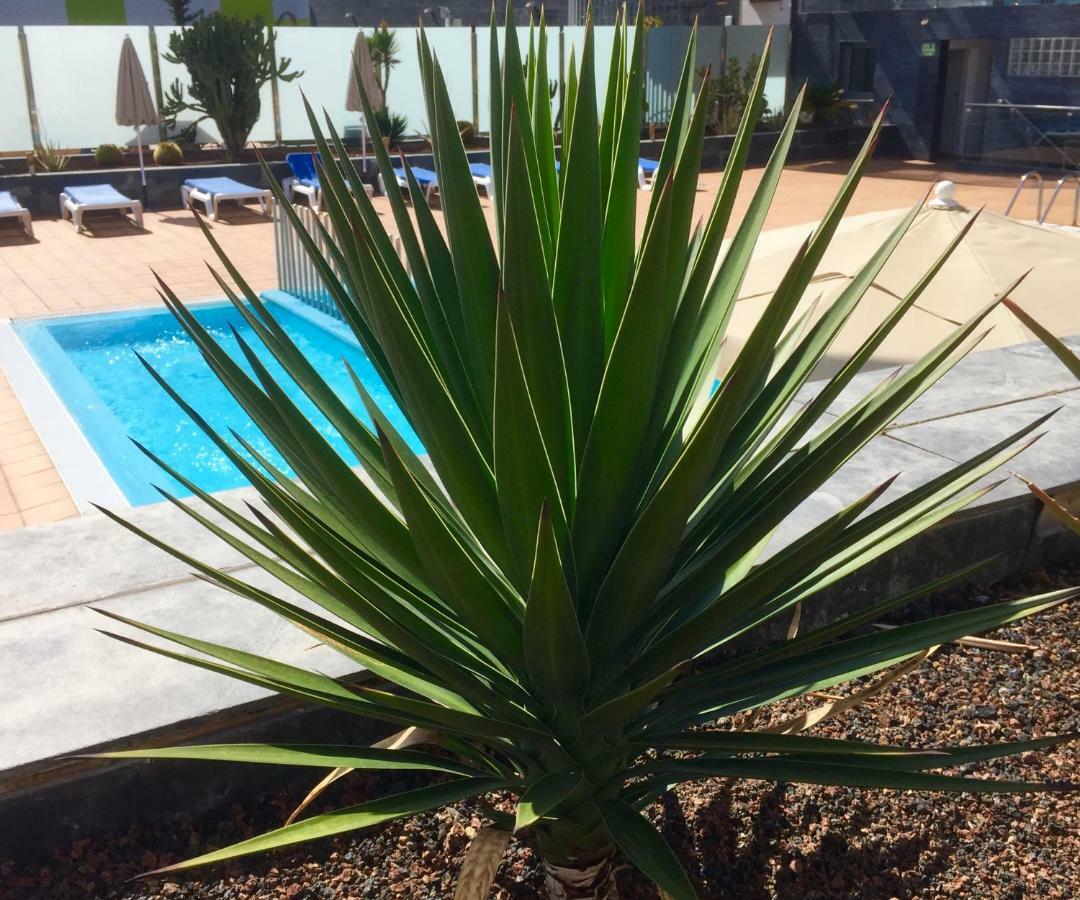 Blue Dream Playa Apartment คอร์ราเลโฮ ภายนอก รูปภาพ